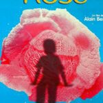 Моя Жизнь В Розовом Цвете Постер