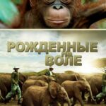 Рожденные На Воле Постер
